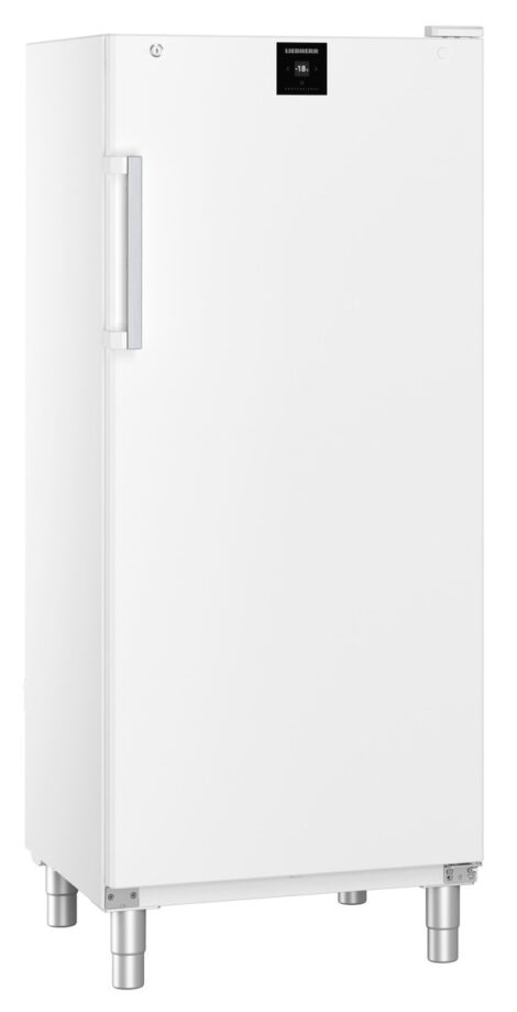 Liebherr FFFsg 5501 Performance Gefrierschrank mit SmartFrost