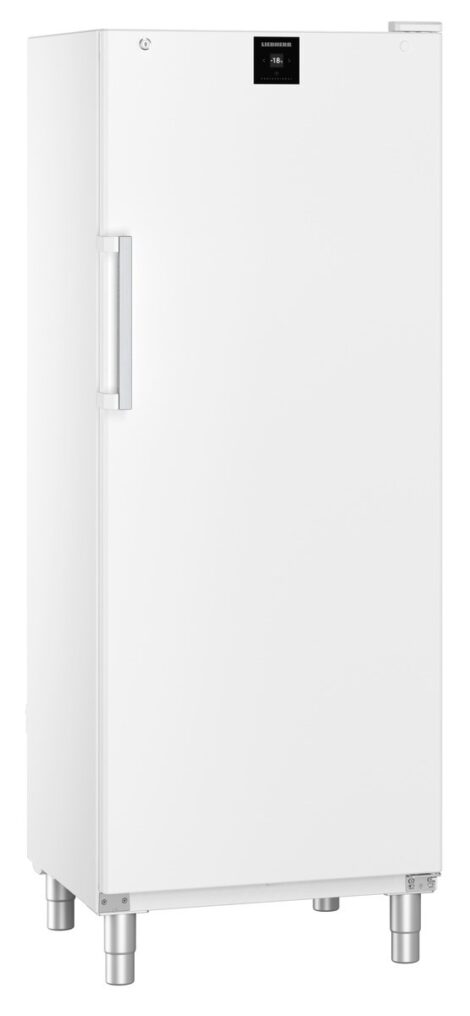 Liebherr FFFsg 6501 Performance Gefrierschrank mit SmartFrost