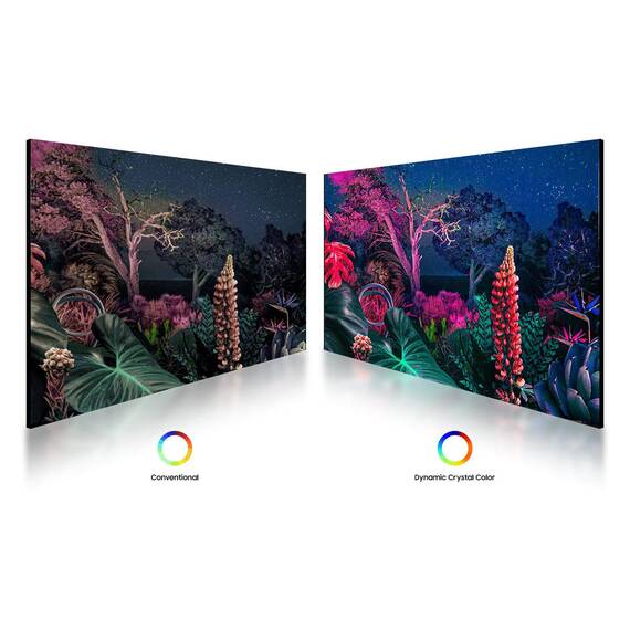 Samsung QB50B 50" Display, UHD 5 Samsung QB50B 50" Display, UHD