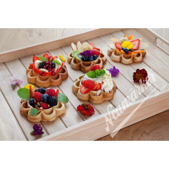 Neumärker Waffeleisen Thermocook® inkl. Waffeltörtchen Wechselplatten 3 Neumärker Waffeleisen Thermocook® inkl. Waffeltörtchen Wechselplatten