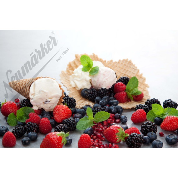 Neumärker Eiswaffel Wechselplatten für Thermocook® 5 Neumärker Eiswaffel Wechselplatten für Thermocook®