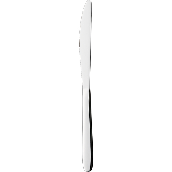 Menümesser, Besteckserie Bankett, Stalgast L. 226 mm Menümesser, Besteckserie Bankett, Stalgast L. 226 mm