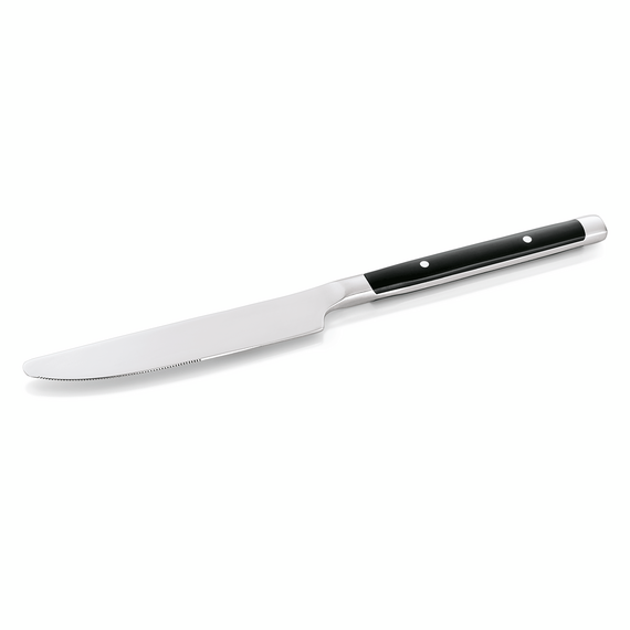 Was Germany Menümesser Set BISTRO TREND, 22,5 cm, mit Kunststoffgriff, Set á 12 Stück, Chromstahl 13/0 Was Germany Menümesser Set BISTRO TREND, 22,5 cm, mit Kunststoffgriff, Set á 12 Stück, Chromstahl 13/0