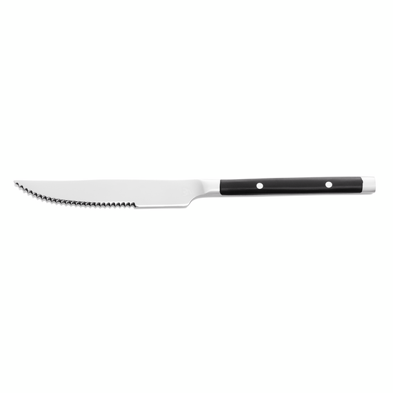 Was Germany Steakmesser Set BISTRO TREND, 21 cm, mit Kunststoffgriff, Set á 12 Stück, Chromstahl 13/0 Was Germany Steakmesser Set BISTRO TREND, 21 cm, mit Kunststoffgriff, Set á 12 Stück, Chromstahl 13/0