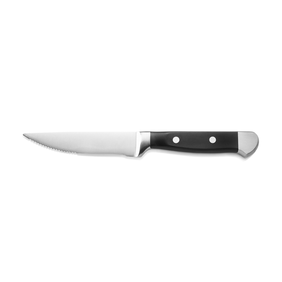 Was Germany Steakmesser Set, mit POM Kunststoffgriff, 25,5 cm, Set á 6 Stück, Polyoxymethylen, Chromstahl 13/0 Was Germany Steakmesser Set, mit POM Kunststoffgriff, 25,5 cm, Set á 6 Stück, Polyoxymethylen, Chromstahl 13/0