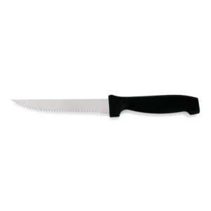 Essentials Steakmesser Set, mit Kunststoffgriff, 22 cm, Set á 6 Stück, Edelstahl