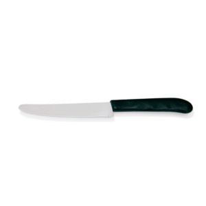 Essentials Steakmesser Set, mit Kunststoffgriff, 22 cm, Set á 6 Stück, Edelstahl