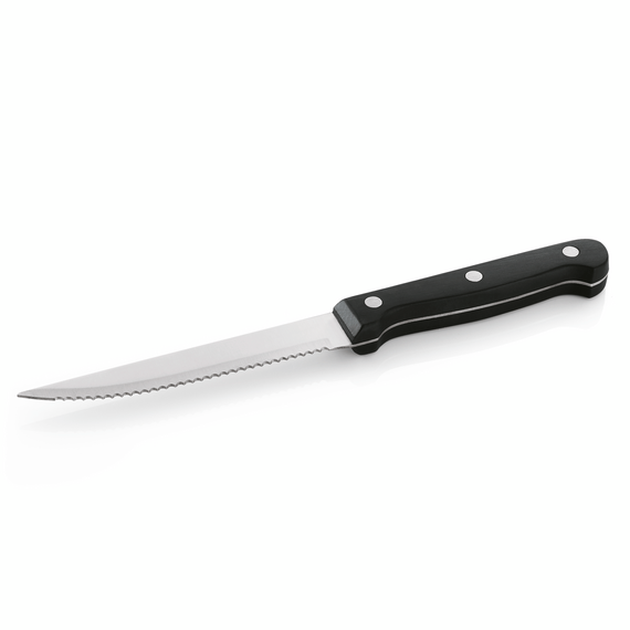 Essentials Steak-/Pizzamesser Set, mit Kunststoffgriff, 21 cm, Set á 12 Stück, Edelstahl Essentials Steak-/Pizzamesser Set, mit Kunststoffgriff, 21 cm, Set á 12 Stück, Edelstahl
