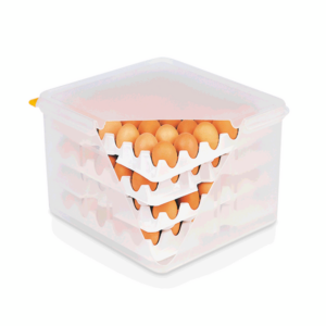 Was Germany HACCP Eierbox GN 2/3, für 4 Einlagen je 30 Eier, Polypropylen, Polystyrol