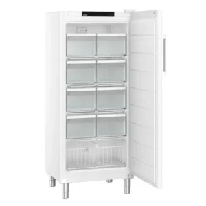 Liebherr FFFsg 5501 Performance SmartFrost Gefrierschrank mit Schubladen