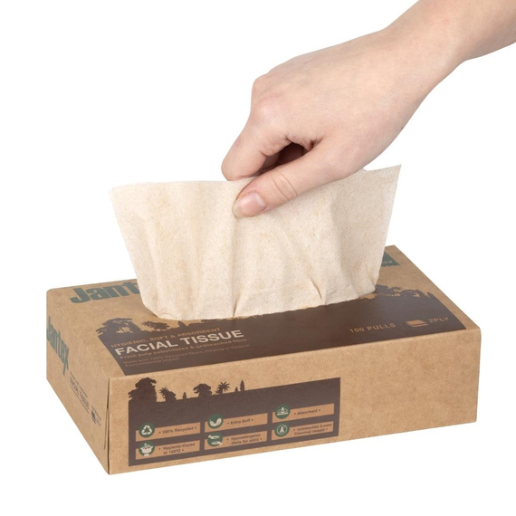 Jantex Green 100% Recycelte Gesichtstücher 100 Blatt (36 Stück) 5 Jantex Green 100% Recycelte Gesichtstücher 100 Blatt (36 Stück)