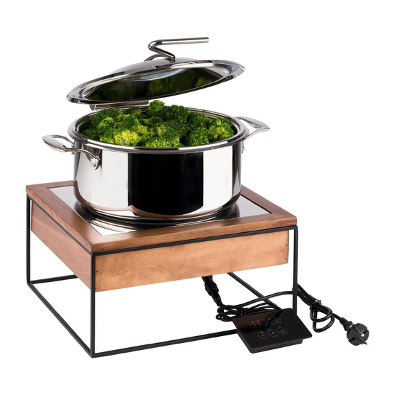 APS Buffet Induktionskochplatte 354x325mm 1 APS Buffet Induktionskochplatte 354x325mm