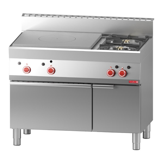 Gastro M Gasherd mit Glühplatte und Ofen 65/110 TPFG 1 Gastro M Gasherd mit Glühplatte und Ofen 65/110 TPFG
