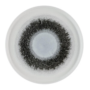 Churchill Studio Prints Fusion Platten mit schwarzen Wänden, 260 mm, (6 Stück)
