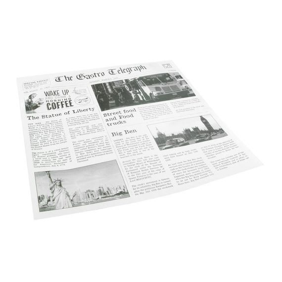 Sier Dispsoabels fettabweisendes Papier Zeitungspapier 300 x 300mm (Box 300) Sier Dispsoabels fettabweisendes Papier Zeitungspapier 300 x 300mm (Box 300)