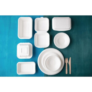 Fiesta Compostable kompostierbare Zuckerrohr Klappdeckelbehälter 18,2cm (250 Stück)