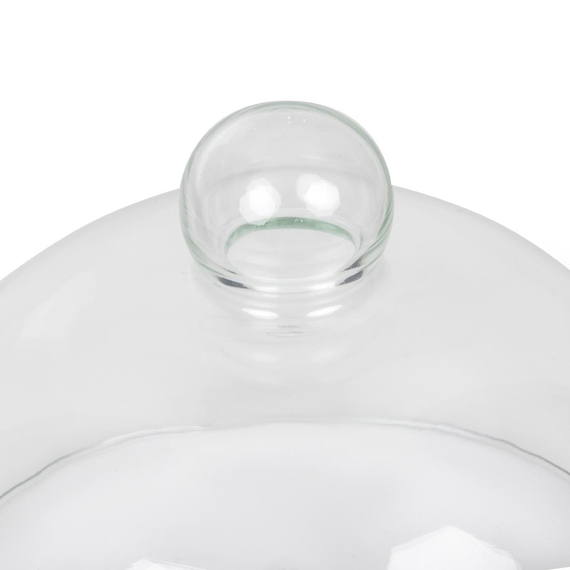 Speiseglocke aus Glas 21cm 2 Speiseglocke aus Glas 21cm