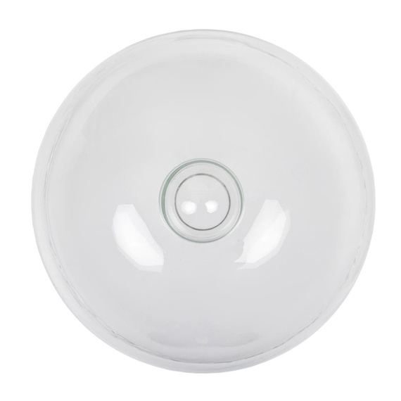 Speiseglocke aus Glas 21cm 3 Speiseglocke aus Glas 21cm